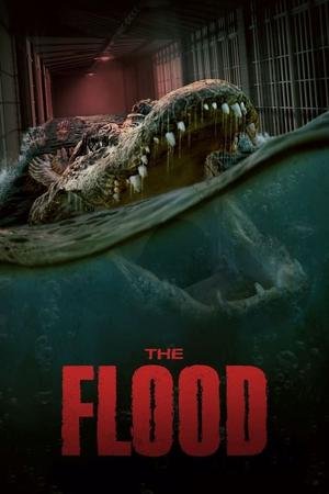 Home - British IPTV 20 the flood